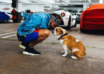 El duro momento que atraviesa Lewis Hamilton tras perder a su perro Roscoe