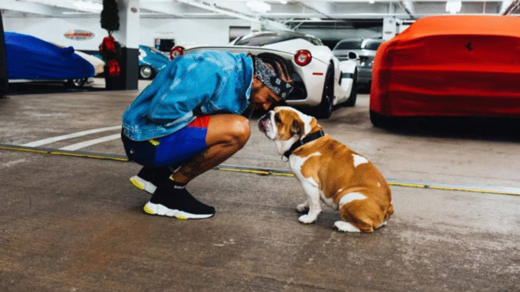 El duro momento que atraviesa Lewis Hamilton tras perder a su perro Roscoe
