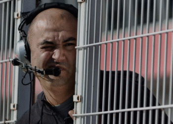 Decisión tomada: el Maquin Parts se reestructura para el 2026