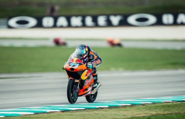 Moto3: una gran carrera de Perrone y Morelli les permitió terminar en los puntos en Malasia
