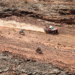 Rally Dakar: Lategan impone condiciones en la Etapa Maratón y toma el mando