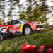 Rally de Finlandia: Ogier lideró un viernes cargado de incidentes